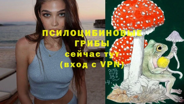 кокс Аркадак